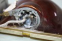 FEU ADDITIONNEL AB SEV MARCHAL IODE 850...AUTOS ANCIENNES... - Trac...