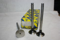 LOT DE 3 SOUPAPES D'ECHAPPEMENT FLOQUET MONOPOLE 05 7087 60...RENAULT DIESEL R5 R9 R11