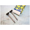 JEU DE 2 SOUPAPES D'ECHAPPEMENT FLOQUET-MONOPOLE...RENAULT R4 F4 R...