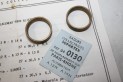 JEU DE 2 BAGUES COLLECTRICES SOPARTEX 04130 POUR ALTERNATEURS PARIS...
